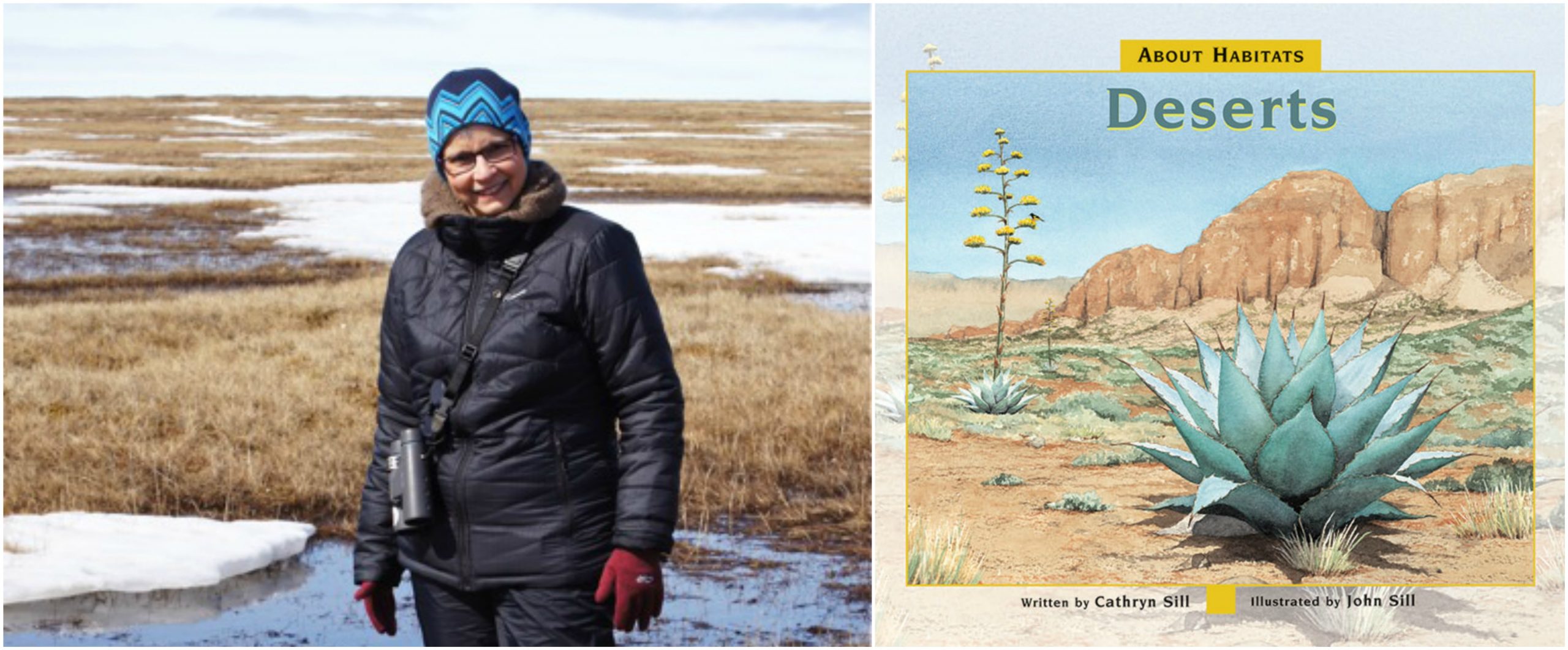 Cathryn Sill About Habitats Deserts