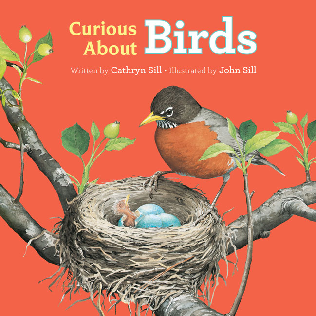 Curious About Birds: A New Board Book for the Youngest Birders