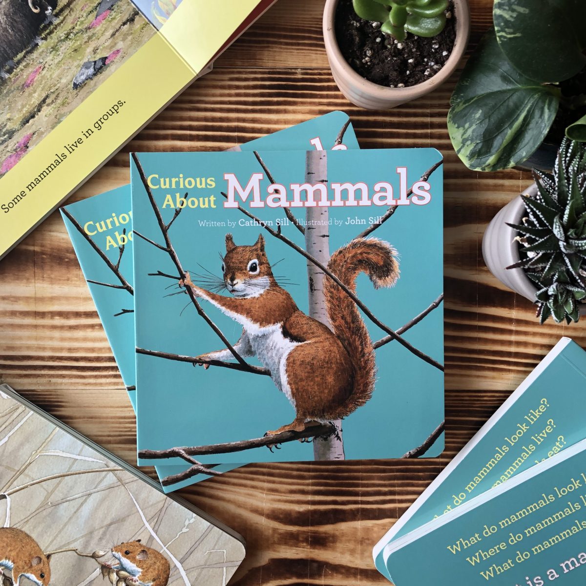 Curious About Mammals: The Newest Board Book in the Discovering Nature Series
