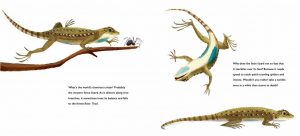 Pipsqueaks, Slowpokes, and Stinkers_lizard spread