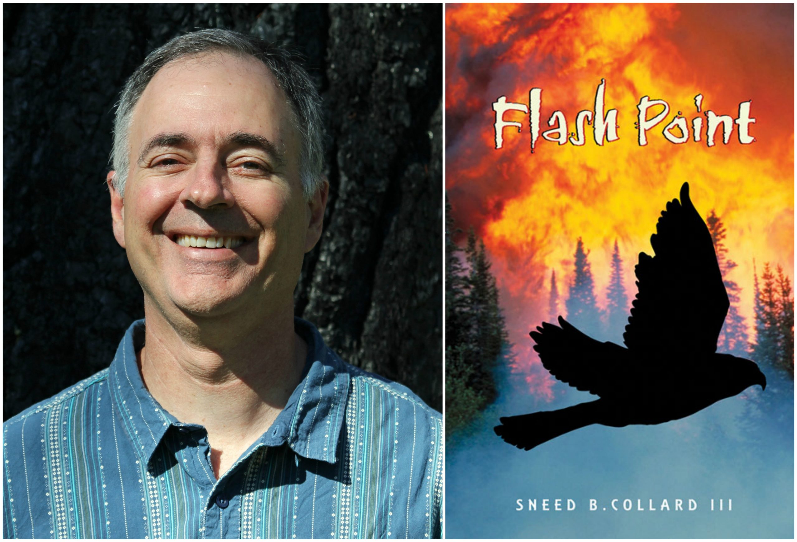 Sneed Collard Flash Point