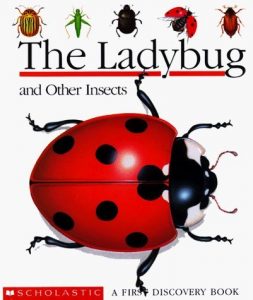 TheLadyBug