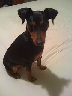 Read-A-Thon: My Dog Can’t Read
